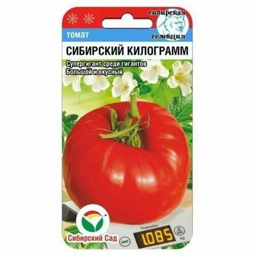 ������ ������ ������ ����� ��������� ���������, ������������, (��������� ���) 20�� ����