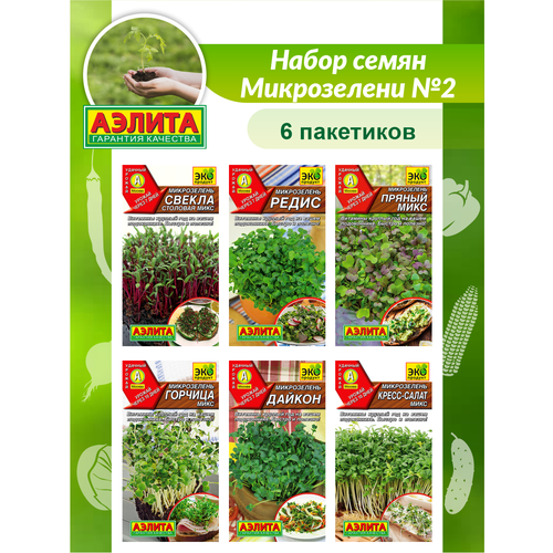 ������ ������ ����� ����� ����������� N2 / ������ ����������� ����