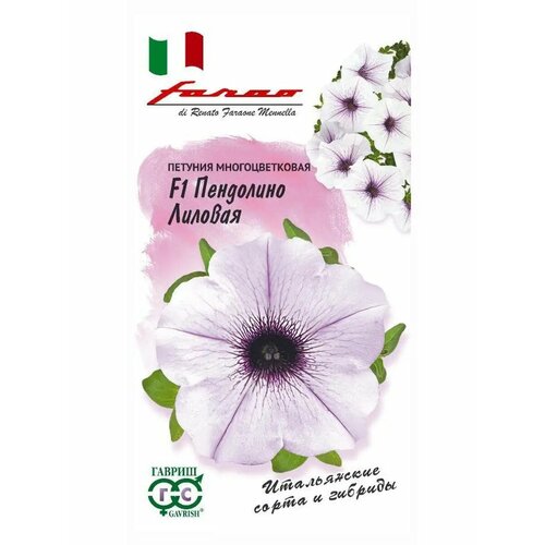 ������ ������ ������� 