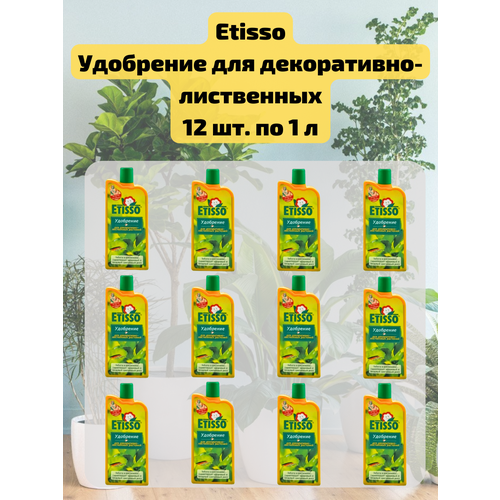 ������ ������ �������� 12 ��. ��������� ������ ��� �����������-���������� �������� 1 �. Etisso ����