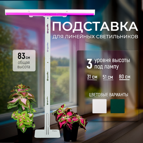 ������ ������ ��������� ��� ���������, 2� ��������� ��������� ��� ��������� 83 ��. �-��������, ����� ����