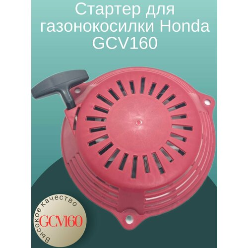     Honda GCV160   -     , -,   