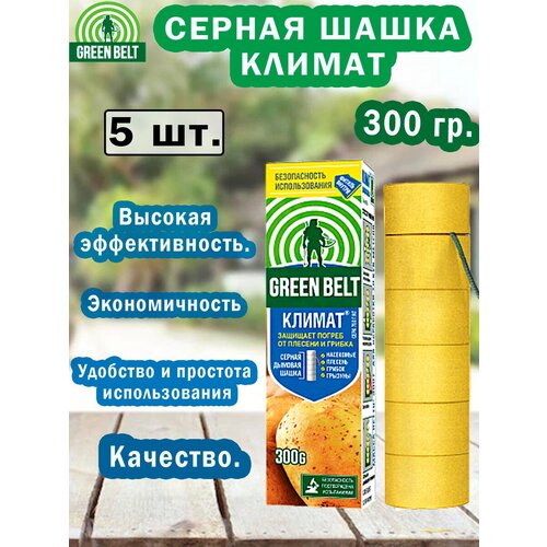 ������ ������ ������ ������� ����� ������ 5 ���� ����