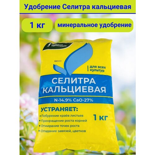 ������ ������ ��������� ������� ����������, � ��������� 1 �������� 1 �� ����