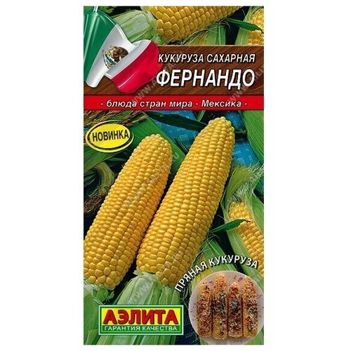 ������ ������ ������ �������� ������ 