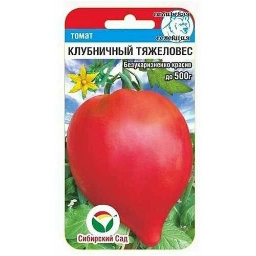 ������ ������ ����� ���������� ��������� /20����� �1��������/��������� ��� ����