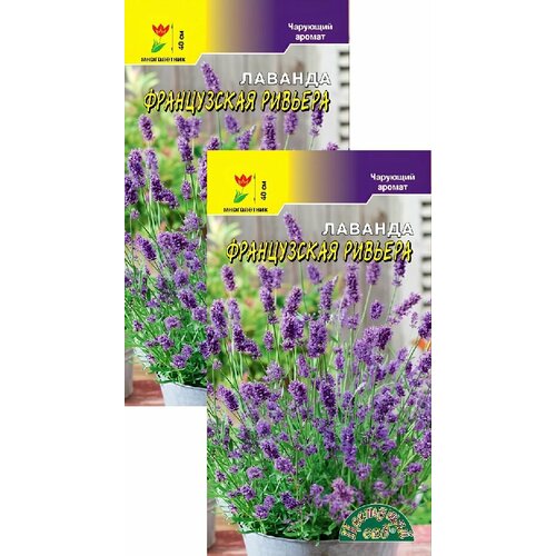 ������ ������ ������� ����������� ������� (0,1 �), 2 ������ ����