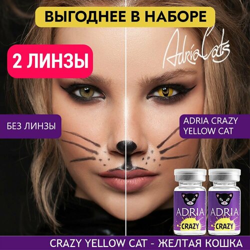    ADRIA Crazy, 2 ., R 8,6, D 0, yellow cat, 2 .   -     , -,   