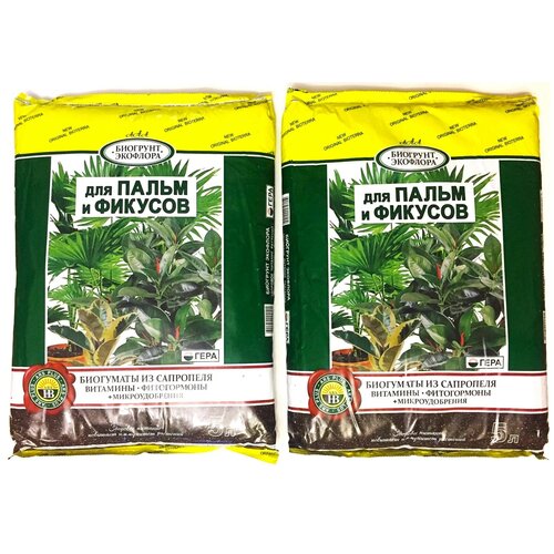 ������ ������ �������� ���� ��� ����� � �������, 5 �, 2.47 ��, 2 ��. ����