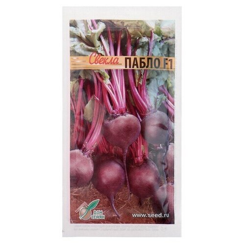 ������ ������ ������ ������ 