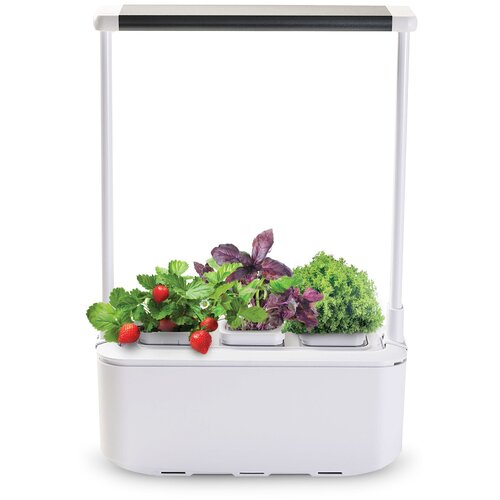 ������ ������ ����� � ������� �����-��� iGarden PRO, ����� ����