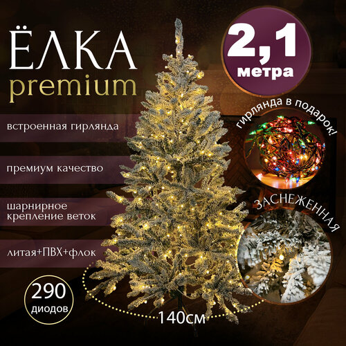 ������ ������ ���� ������������� ����������� 210 �� � ����������, ���, �������� ����� ����