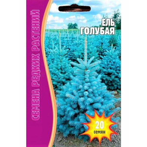 ������ ������ ������ ��� ������� (20 �� �����) ����