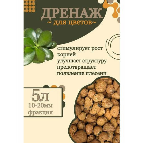 ������ ������ ��������, ������ �� GOLD GARDEN, ��� ��������� � ������������ ��������, 5� ����