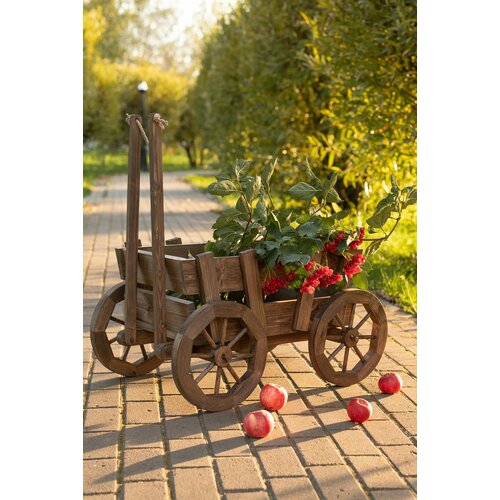 ������ ������ ������������ ���������� ������. ����