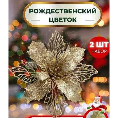 ������ ������ ��������� ���������� ������ �������������, �������, ���� ������� 2 �� ����