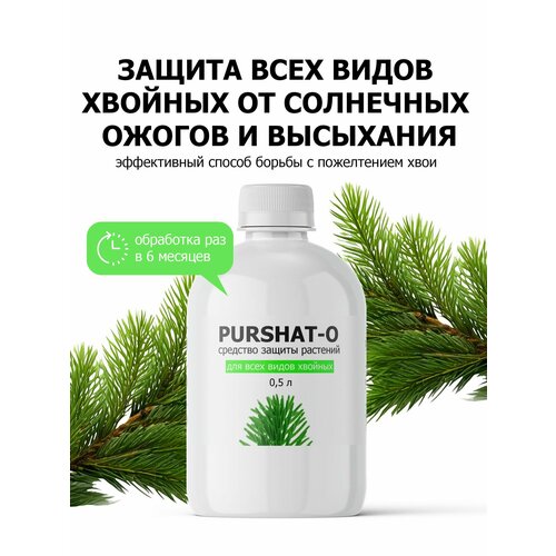 ������ ������ �������� ������ �������� ������-� ���������� ��� ������� � ������������ ������ (Purshat) 500 ��. ����