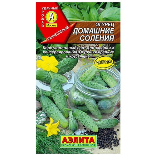 ������ ������ ������. ������ 