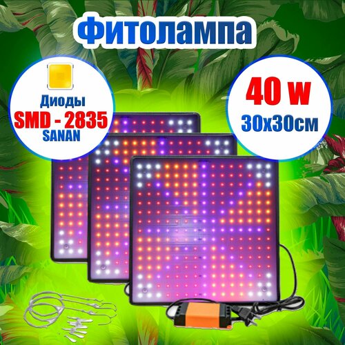     50w           -     , -,   