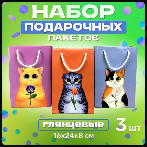 ������ ������ �������� ������ � ������� ���������� ���������� ��� ��������, ����� ������� ����������� �� ���� ��������, ����� ���, 8 �����, 23 �������, � ������ 3 �� ����