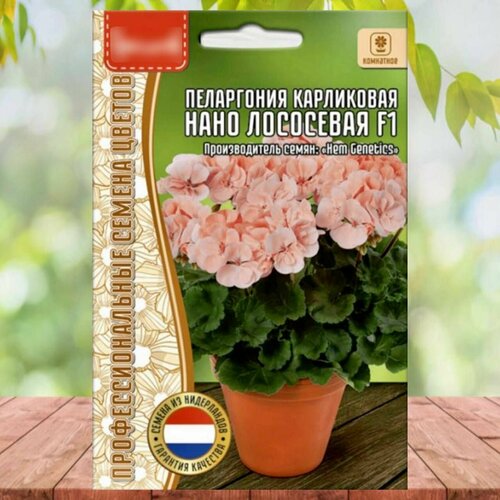 ������ ������ ������ ���������� ���������� ���� ��������� F1 1 ��. ����