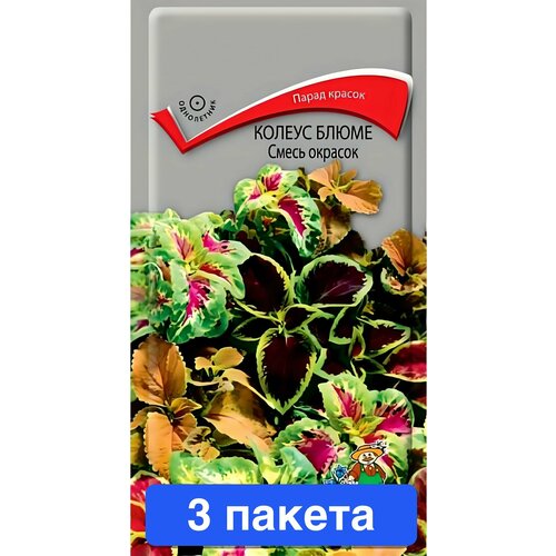 ������ ������ ����� ������ ����� ����� ������� 3 ������ ����