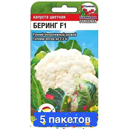 ������ ������ ������ ������ ��������� ��� 