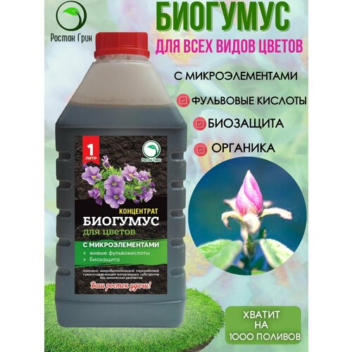 ������ ������ �������� � ��������������� ��� ������ ������ ���� ����