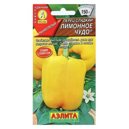 ������ ������ ������ ����� ������� 