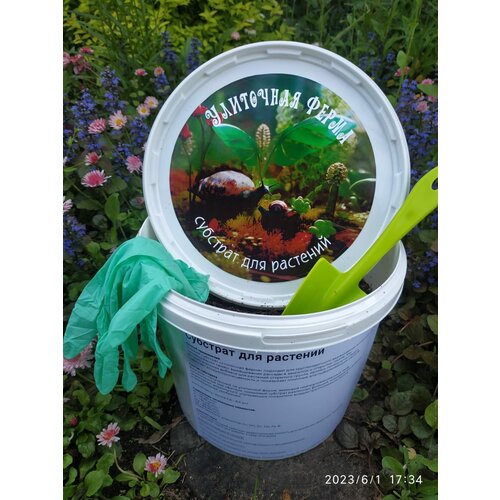 ������ ������ ������� ����� ��� ��������� �������� � ����������� �����. �������� �1 ��������� ����� L. ����