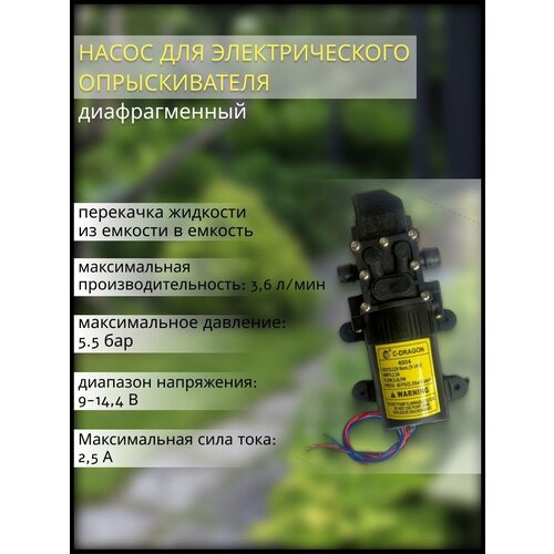 ������ ������ ����� ������������� ��� �������������� ������������� ����