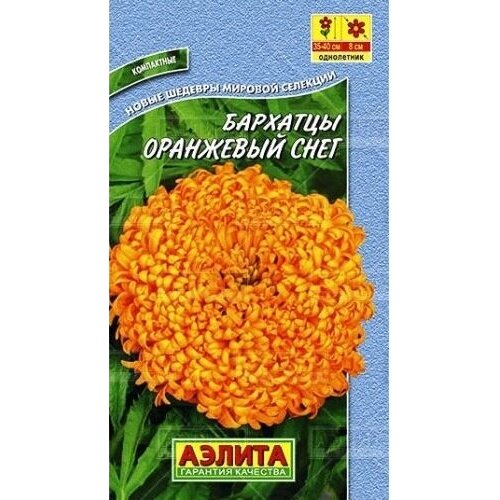 ������ ������ �������� ��������� ���� 0,1� ������ ����