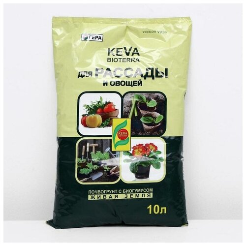   KEVA BIOTERRA    , 10    -     , -,   