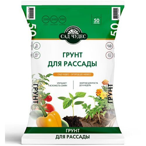 ������ ������ ����� ��� ����� ��� ������� 50 �. ����