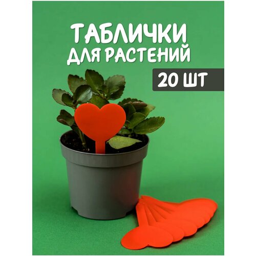 ������ ������ ��������, ���������, ����� ������� ��� �������� ������� �������� 20�� ����
