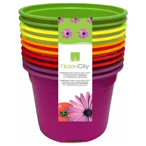  City  Color 83665695, 0.26 ,    -     , -,   