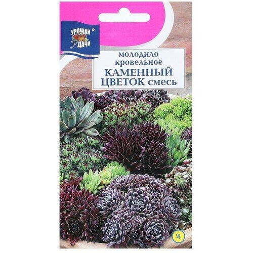 ������ ������ ������ ������ �������� 