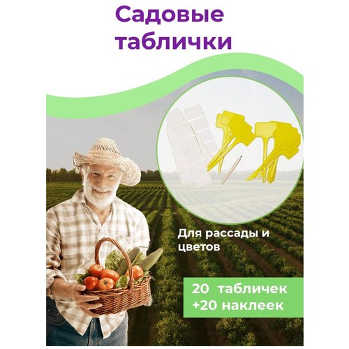 ������ ������ ������� �������� ������� ����� ��� ���������� �������� 20 ���� + �������� +�������� ����