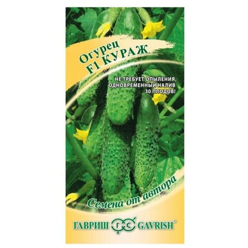 ������ ������ ������ ������ ������ �� ������ ������ ����� F1 10 ��. ����