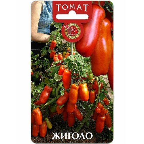 ������ ������ ������ ������ 