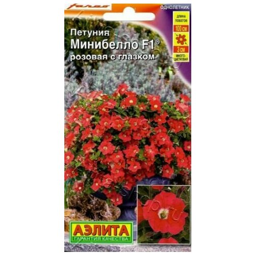 ������ ������ ������� ���� �������������� ��������� ������� � ������� F1 ( 1 �������� ) , ������ ����