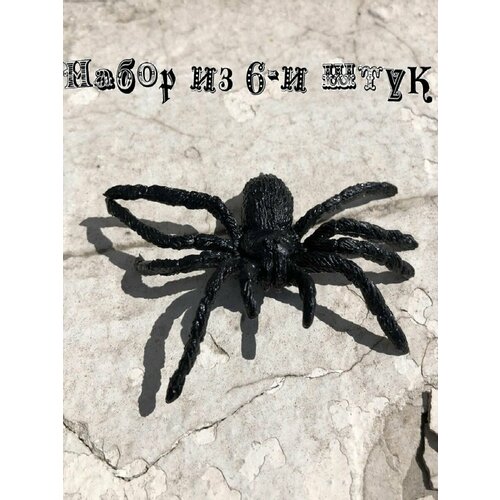 ������ ������ ������� ���� ������ ����� 6 �� ����