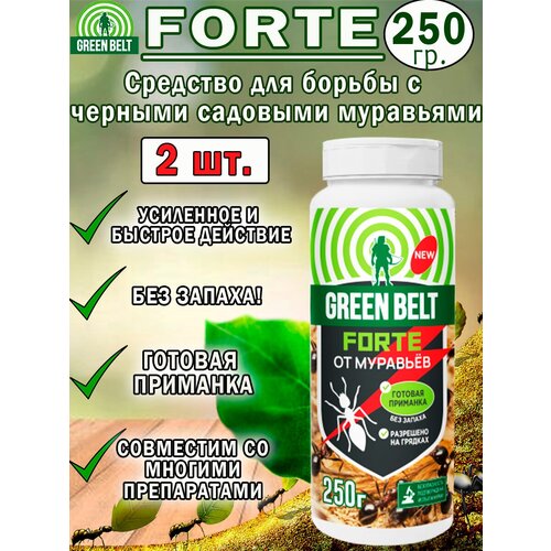        Forte 250, 2  