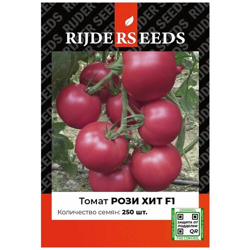 ������ ������ ������ ������ ���� ��� F1 - 250 �� - ������ ������. �� ����