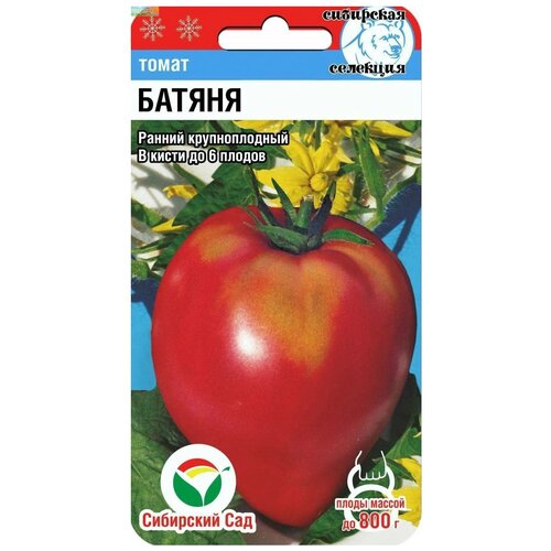 ������ ������ ������ ��������� ��� ����� ������ 20 ��. ����