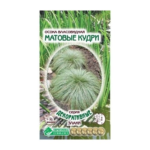 ������ ������ ������ ����� ����������� 