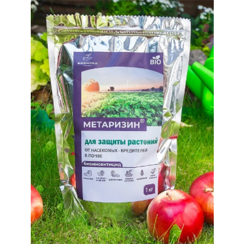 ������ ������ �������� ��������� �� ������� � ��������� ���������� 1 �� ����