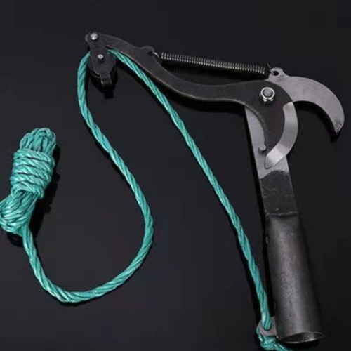 ������ ������ �������� � �������� ����