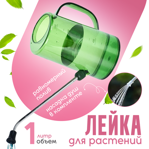 ������ ������ ����� ��� ������ � ��������� ��������, 1 ���� ����