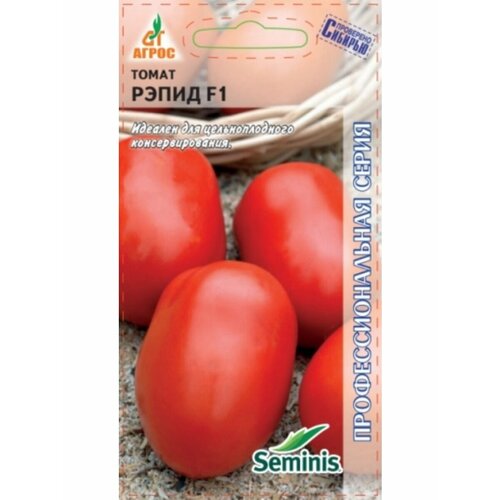 ������ ������ ������ ����� ����� F1 10�� ��� (�����) ����